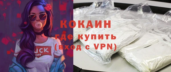 стаф Елизово