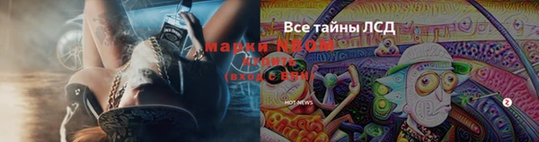 стаф Елизово