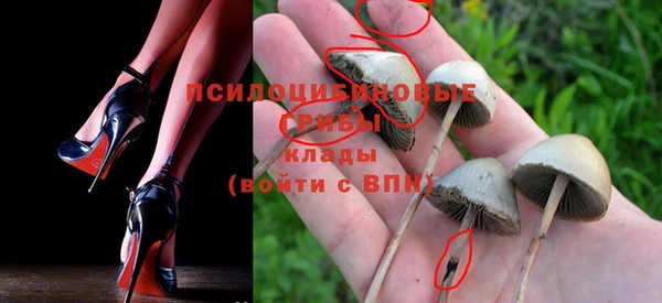 стаф Елизово