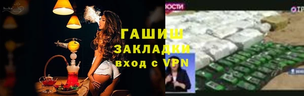 стаф Елизово