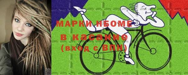 стаф Елизово