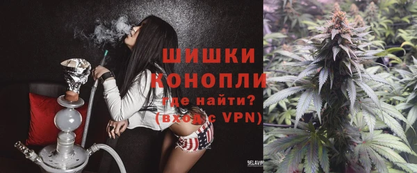 стаф Елизово